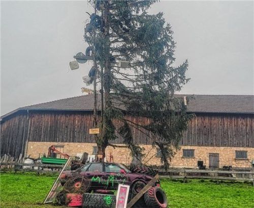 Der Hungerbaum in Ostermünchen folgt einem alten Brauch, mit dem Freunde ein Paar, das mehr als sieben Jahre zusammen, aber nicht verheiratet ist, verspotten.

Foto  Stache