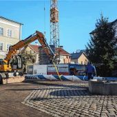 Alter Maibaum muss weichen