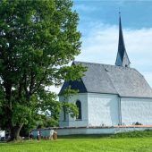 Bayern, Beuern oder Biber: Wie Baierbach zu seinem Namen kommt