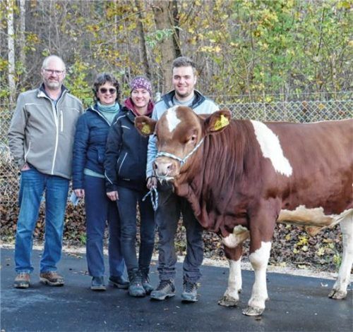 Die Familie Mayer aus der Gemeinde Rimsting mit dem Stier „Schoko“, der an der Besamungsstation Neustadt zum Einsatz kommt. Foto rinderzuchtverband traunstein