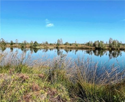Die Hochwassergefährdungsanalyse für Raubling ist noch in Arbeit. Parallel dazu hat die Gemeinde jetzt ein erfahrenes Planungsbüro angefragt, ob zusätzliche Rückhaltemöglichkeiten im Raublinger Moor möglich wären. Der alte Löschweiher im Herzen der Hochrunstfilze beispielsweise hätte noch „freie Kapazitäten“. Foto Gerlach