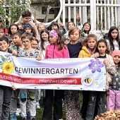 Die Bienen-Retter aus Wasserburg