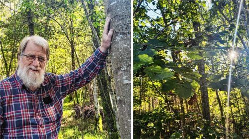Dr. Christian Sievi investierte vor 16 Jahren in einen Wald bei Vogtareuth und baut ihn nach und nach in einen „Zukunftswald“ um. Foto birkhof