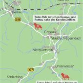 Schaf und Reh im Achental zerfressen