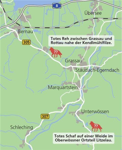 Etwa acht Kilometer Luftlinie trennen die beiden Fundorte der toten Tiere. Klinger