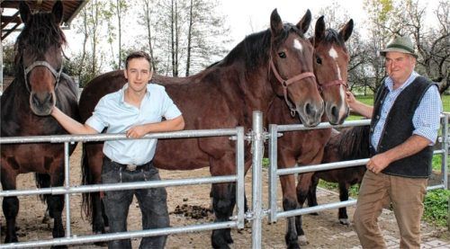 Für Josef Braun senior (rechts) und Sohn Seppi gehört der Segen ihrer Kaltblutpferde an Leonhardi zum wichtigen kirchlichen Fest im Jahreskreis. Fotos Strim