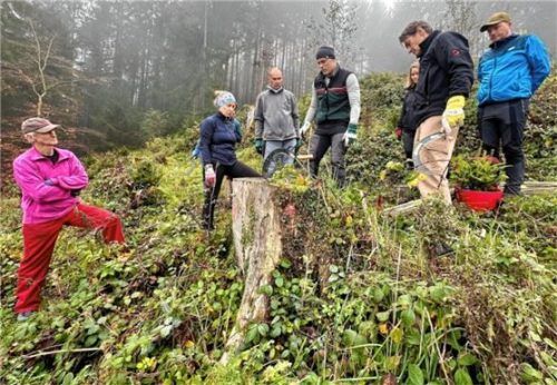 Im steilen Bergwald erklärt Förster Pascal Barz (Vierter von links) den Helfern der Sektion Rosenheim (DAV) den aktuellen Einsatz. Foto DAV-Sektion Rosenheim