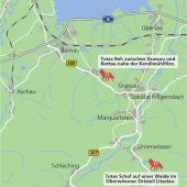 Drei tote Tiere binnen zwei Tagen