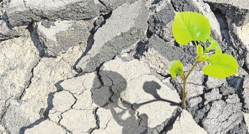 Kann Beton grüne Eigenschaften wie Bäume und Pflanzen haben? Aktuelle Forschungsentwicklungen legen das nahe. Foto cooperr007/Panthermedia