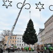 Von klein auf schon ein Christbaum