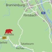 Bären-Alarm am Sudelfeld: Spurensuche in beliebtem Wandergebiet