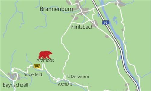 Zwischen dem Arzmoos und der steinernen Stiege am Sudelfeld soll der Bär gesichtet worden sein. Klinger
