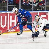 Adler rupfen den EHC