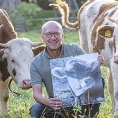 Fotografische Liebeserklärung an Bayerns Kühe