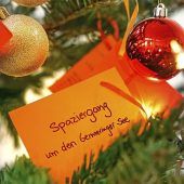 Die geheimen Wunscherfüller