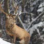 Jäger blitzen bei Aiwanger ab
