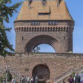 IN KÜRZE