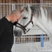 Mit dem Pferd gegen die Dämonen des Krieges