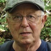 „Unsere Gärten sind viel zu aufgeräumt“