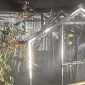Gewächshaus komplett verkohlt