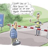 Worauf wir uns 2025 freuen können