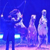 Erster Rosenheimer Weihnachtszirkus frisch gesegnet bereit zur Premiere im brandneuen Zelt