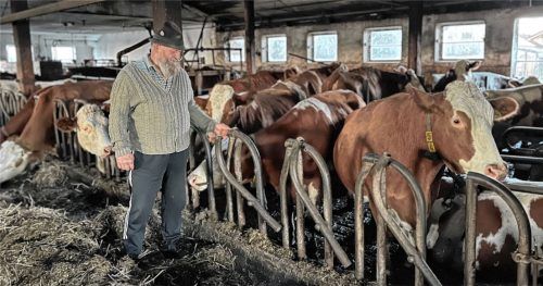 Abschied aus Dorfbach: Bauer Wast B. muss bis Ende des Jahres den Hof verlassen. Für 40 Rinder – 30 Milchkühe und zehn trächtige Färsen – sucht er nun dringend einen Laufstall. Foto Gerlach