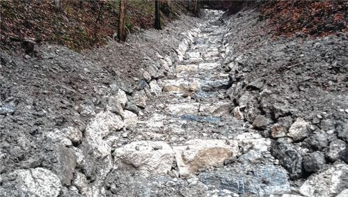 Am Nußdorfer Entbach wurden wichtige Sanierungsarbeiten abgeschlossen, um die Hochwassergefahr einzudämmen.