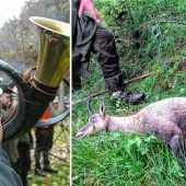 Auf zum großen Halali: Schonzeit-Jagd eröffnet