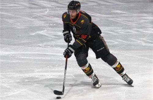 Christoph Gottwald steuerte in Bayreuth einen Assist zum dritten Aibdogs-Treffer bei.Foto Hadersbeck