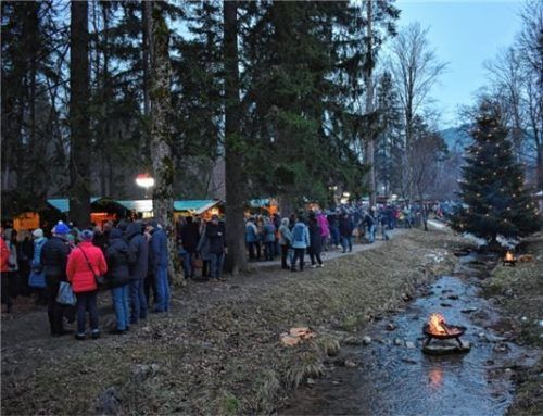 Das schätzen die Besucher an der Waldweihnacht: Fackeln und Feuerstellen beleuchten den Weg durch den Naturpark.