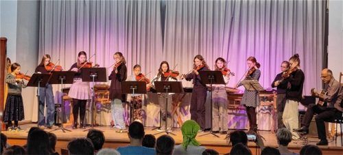 Das Streicherensemble unter der Leitung von Darius Koriako präsentierte erfrischende „Fiddlemusic“ aus Irland.Foto re