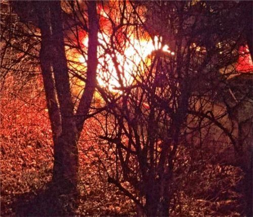 Der Container steht in Flammen. Foto Kellermayer