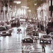 Bilder aus Alt-Rosenheim