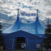 Schwere Vorwürfe gegen Circus Krone