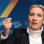 Diskussion um ein AfD-Verbot ist substanzlos