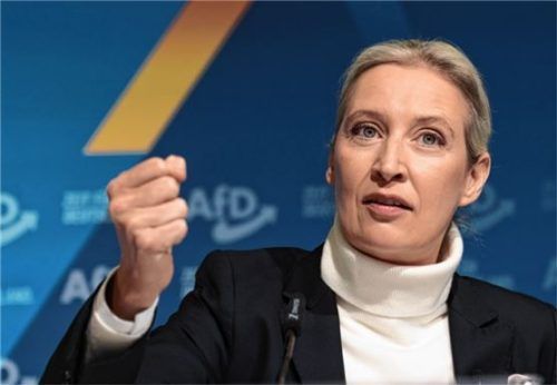 Die AfD tritt zur Bundestagswahl 2025 mit Alice Weidel als Kanzlerkandidatin an. Foto dpa