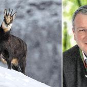 Neue Gefahr für das Bergwild