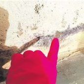 Früherkennung schützt die Gesundheit