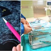 Diskussion um Beratungspflicht beim Schwangerschaftsabbruch