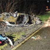 Frontal gegen Baum: 54-Jähriger stirbt