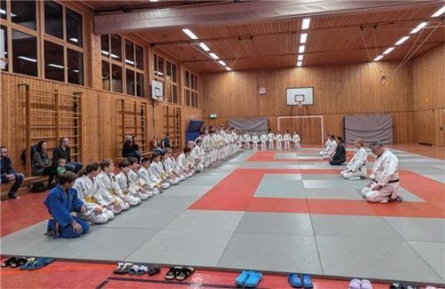 Eine großartige Beteiligung hatte das diesjährige Randori der Abteilung Judo des SVO. Foto stache