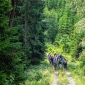 Erst die laufenden Probleme lösen