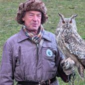 Spaziergang mit sibirischem Uhu