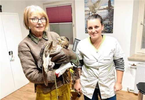 Falknerin Katharina Weinberger (links) mit Tierärztin Melina Zwack.