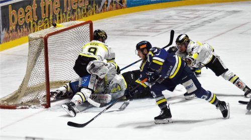 Für Jakub Šrámek (blaues Trikot) und die Löwen geht es am heutigen Freitagabend in die Oberpfalz, zu den WildLions des ERSC Amberg. Foto Paolo Del Grosso