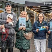 Geldregen für Tierheime