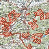 Friede oder schonungslose Jagd?