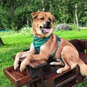 Kim sucht ein Zuhause