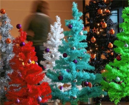 Nachhaltigkeit beim Weihnachtsbaum? Naturschützer raten zu regionalen Biobäumen. Auch Plastik sei keine Alternative: Transport und Herstellung hinterließen einen größeren ökologischen Fußabdruck als ein echter Baum.